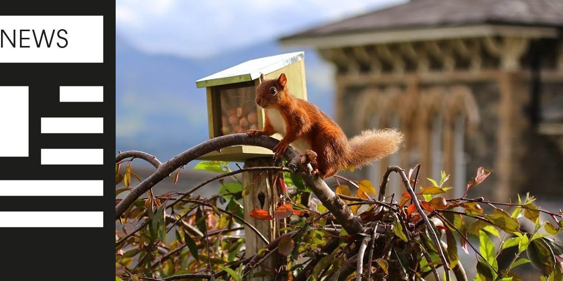 Creation rebrands Underscar