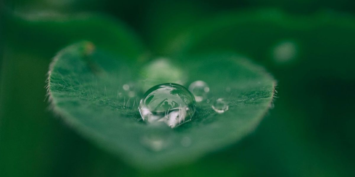 How Green Is Your Website CADM FI